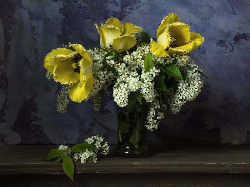 Желтые тюльпаны и черемуха в стеклянной вазе.