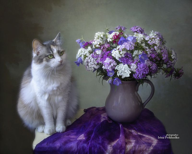 Портрет Буси с букетом летних цветов