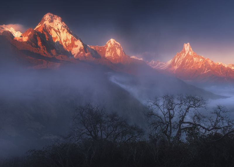 Закатные вершины Гималаев