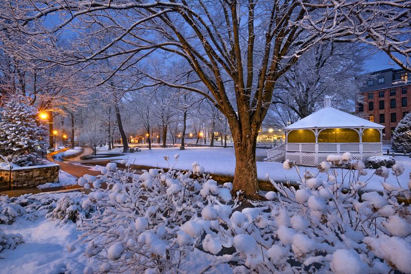 snowy park