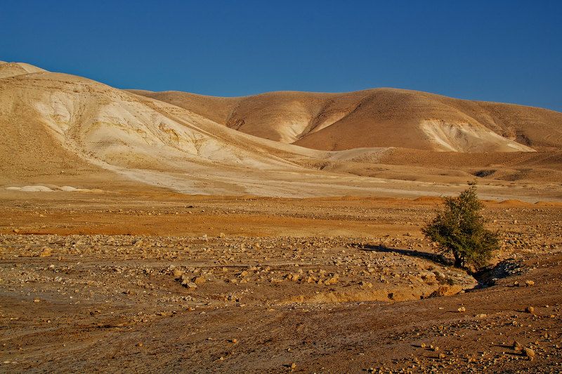 Jordan Valley