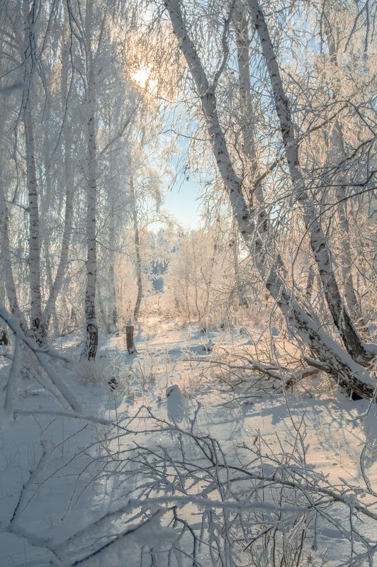 зимнее настроение