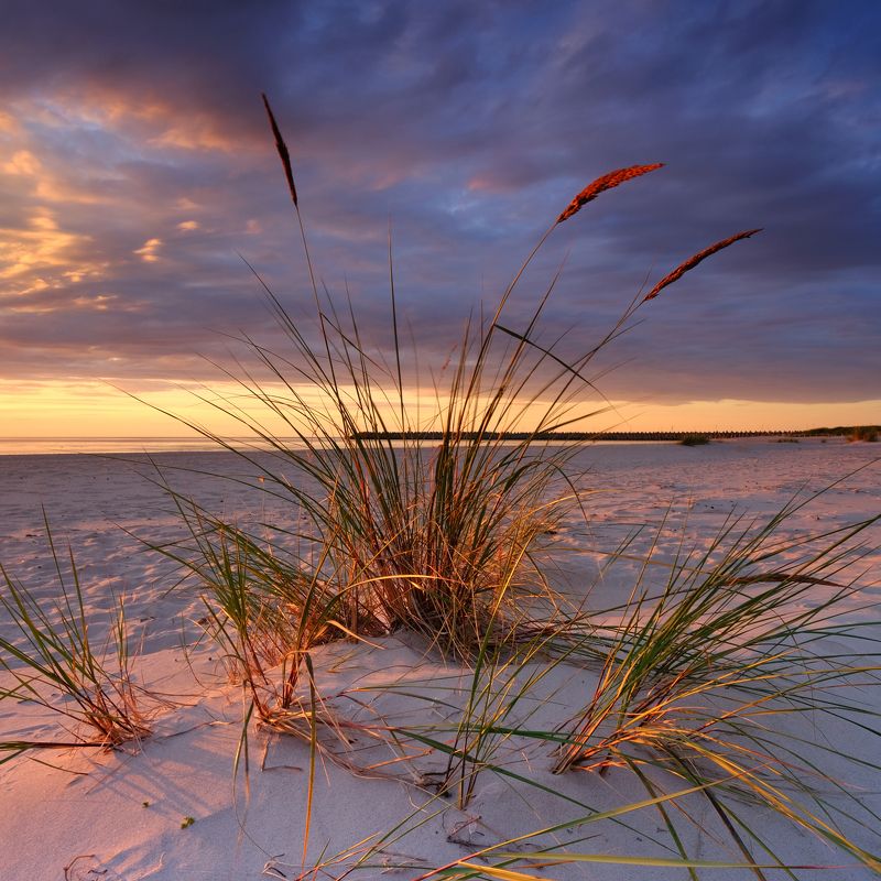 Baltic Coast