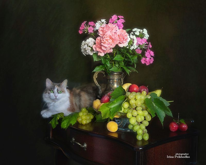 Натюрморт с фруктами , цветами  и вездесущей Бусей