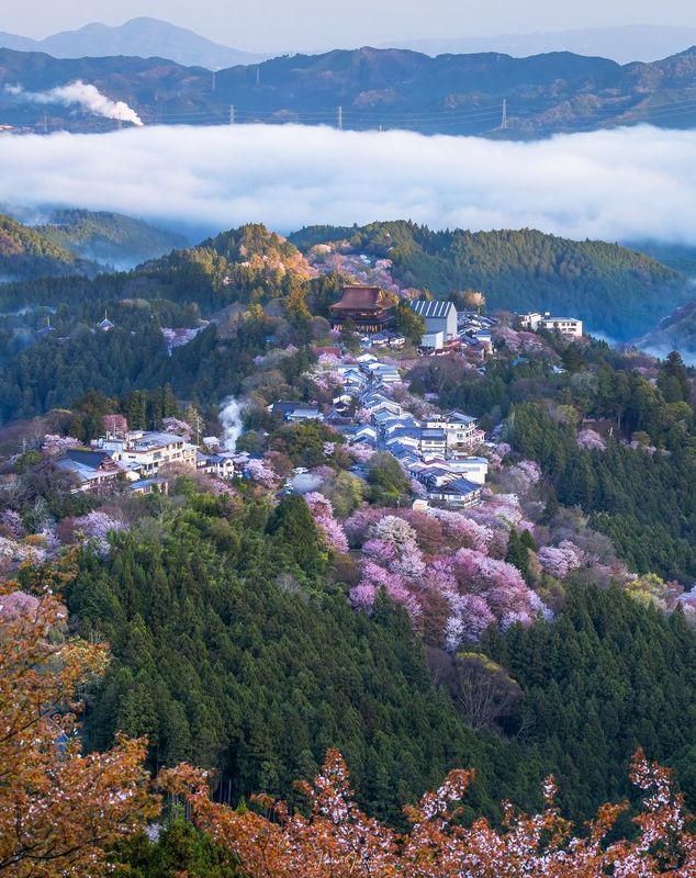 Yoshinoyama 吉野山