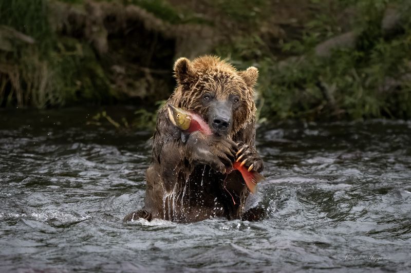 Ну сфоткай меня...