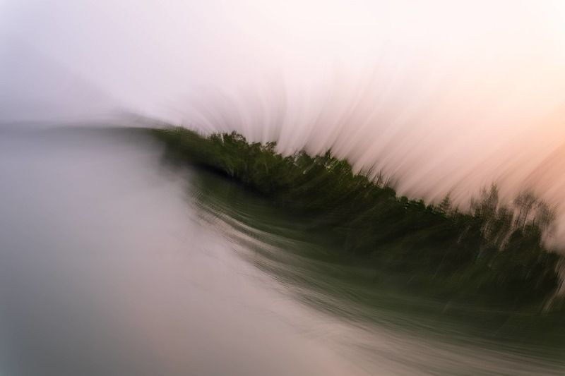 The wave on the Mangrove Jungle