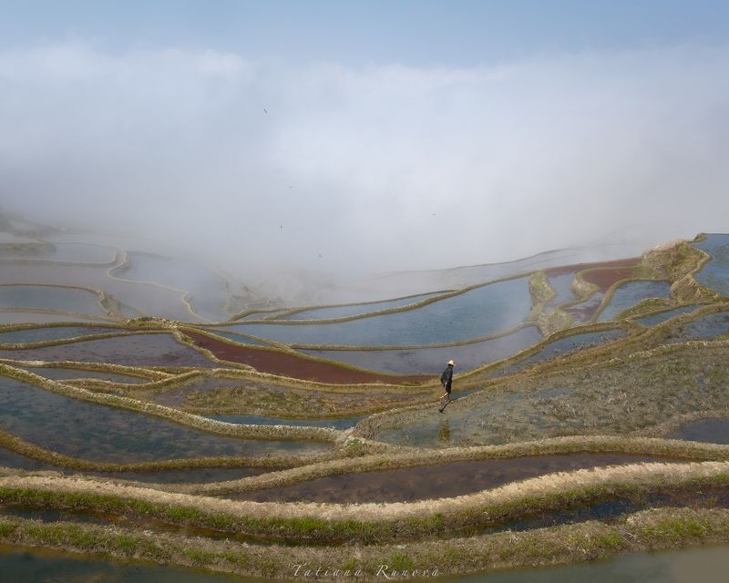 Туман над рисовыми террасами