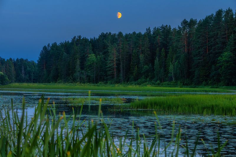 Луна над рекой Оредеж.