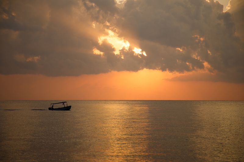 Dawn 2015