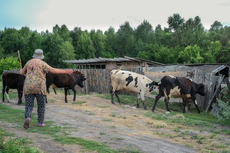 Домой...