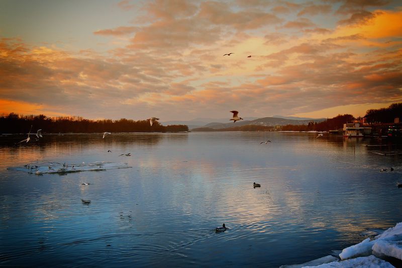 Winter Danube