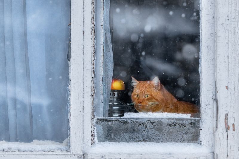 А за окном кружится снег.