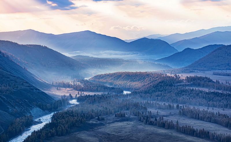 Алтай  Долина реки Аргут