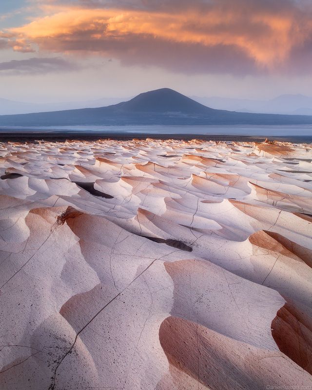 Puna de Atacama