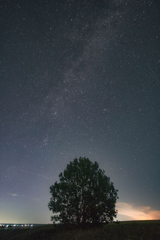 Одинокое дерево звёздной ночью