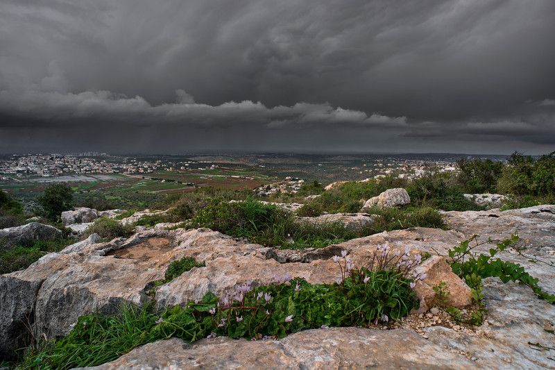 Samaria-Shomron