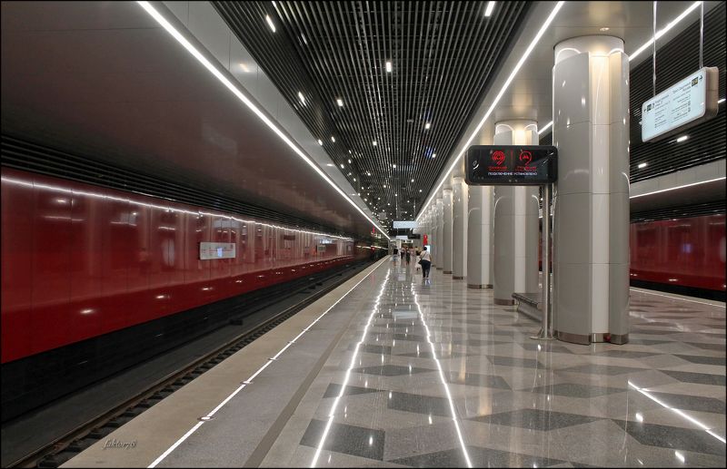 станция метро Некрасовка Москва