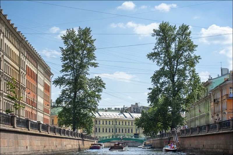 Канал Грибоедова с проводами и деревьями