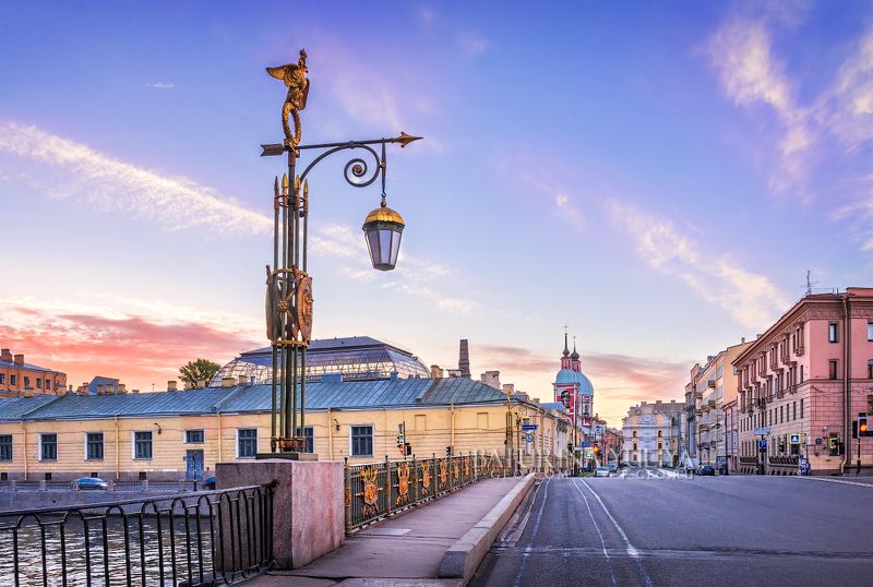 Пантелеймоновский мост в Санкт-Петербурге