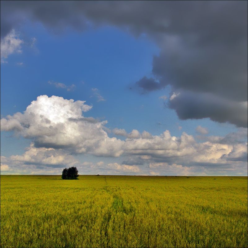 по Рязанской области...