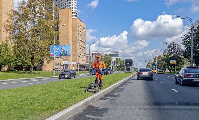 Мирного неба над головой