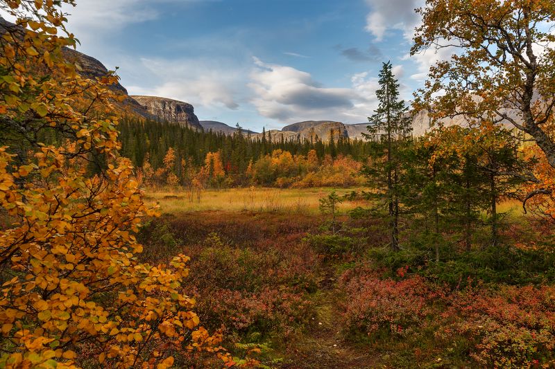 В гостях у осени