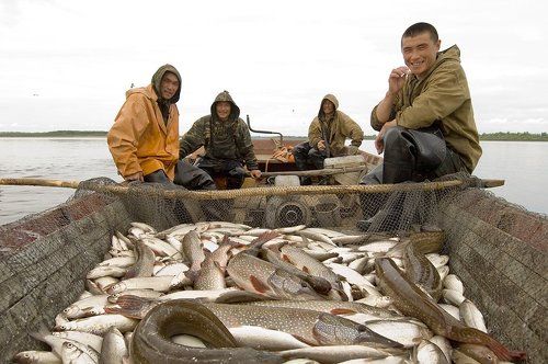 из жизни рыбаков#9