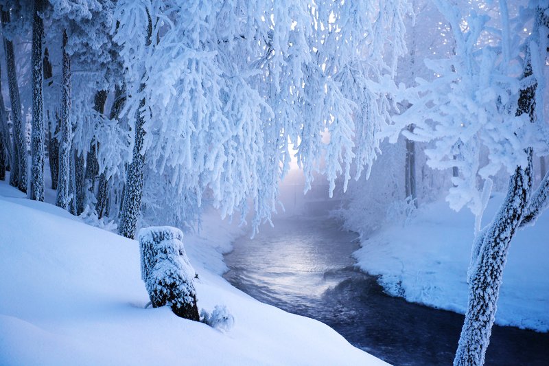Winter Night Blue - Free photo on Pixabay in 2023 Winter scenery, Winter wallpap