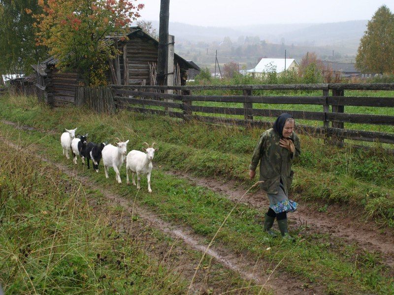 А.Шанин, Russia