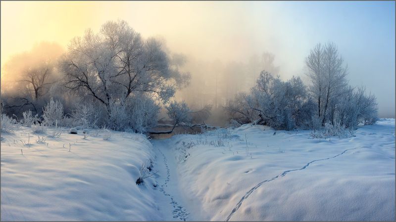 Зима, Рассвет, Река, Снег, Туман О бродящих у реки...photo preview