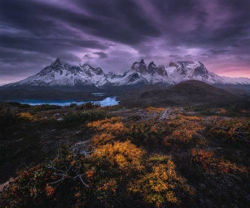 Torres del Paine