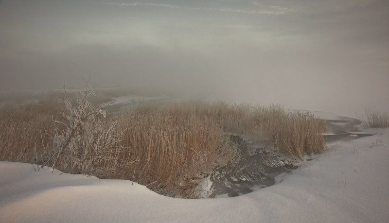 зима, камыш, снег, туман ***photo preview