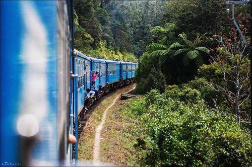 Шри Ланка. Поезд.