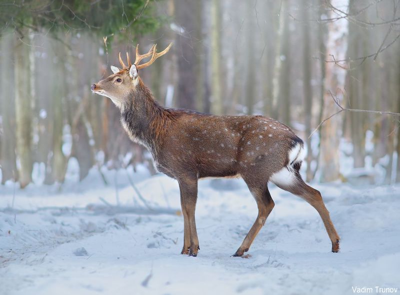 Во всей красе