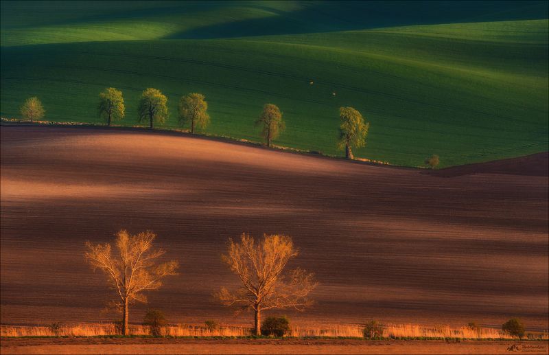 Грани цвета