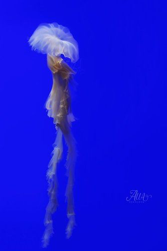 Медуза - балерина