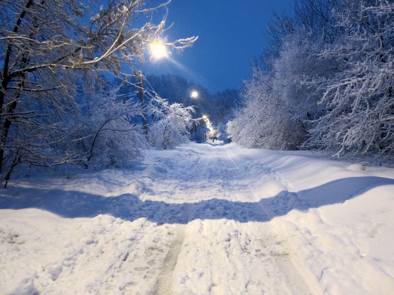 Котик Дарья, Russia