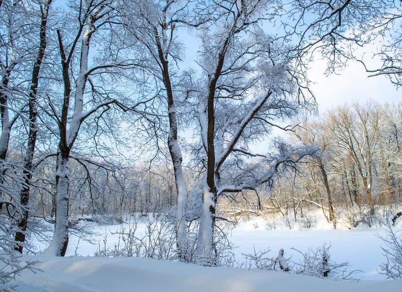 Pretty Lady, Russia