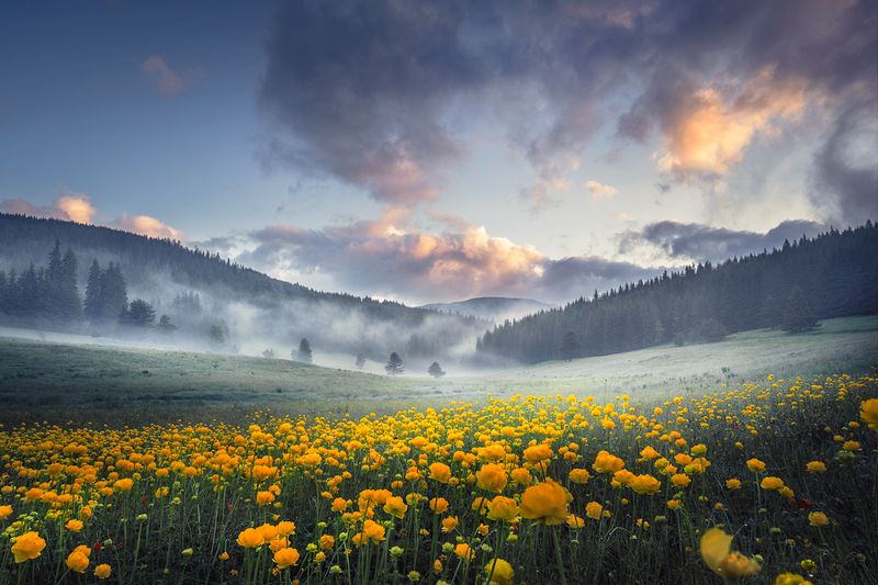 Morning in Rila mountain