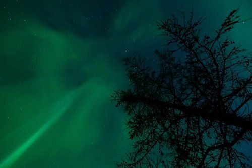 aurora borealis #2(купол неба)