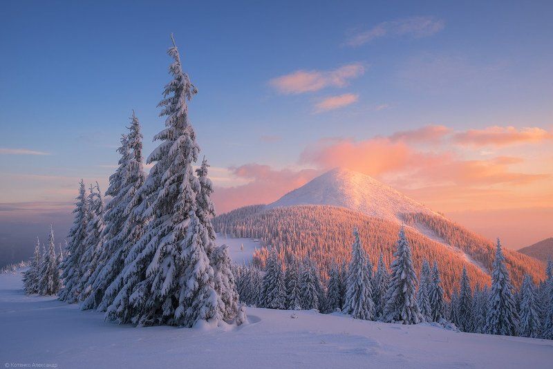 Горы, Зима, Карпаты, Хомьяк ***photo preview