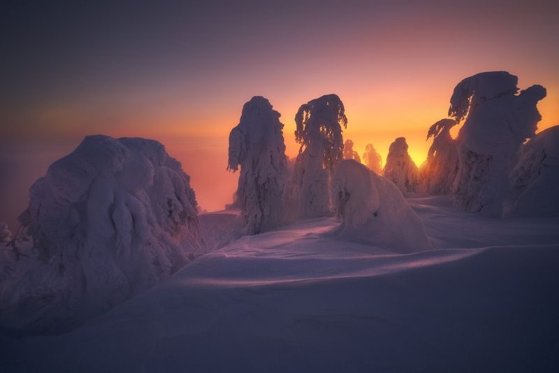 Застывшие на рассвете