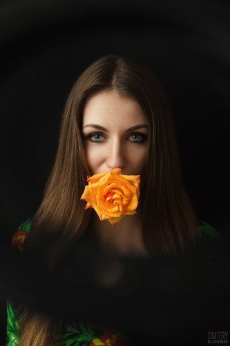 Flower Series: Rose
