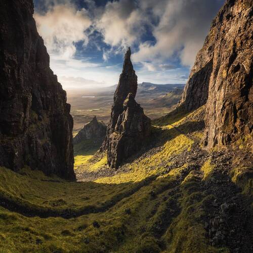 The Needle