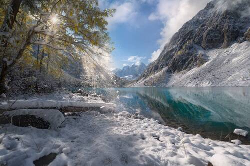 The White Fall