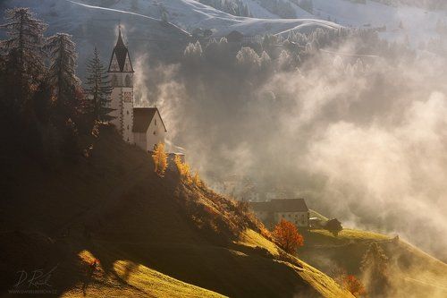 Morning in alpine valley