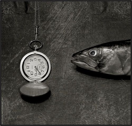 Импозантная рыба, сконцентрировавшаяся на серебрянных часах, подаренных отцу в юбилей
