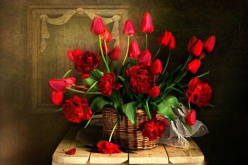 Фейерверк из красных тюльпанов