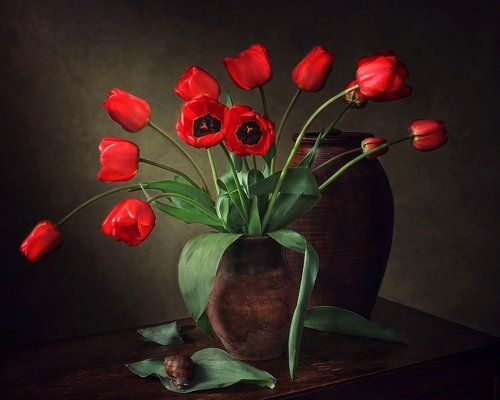 Натюрморт с красными тюльпанами